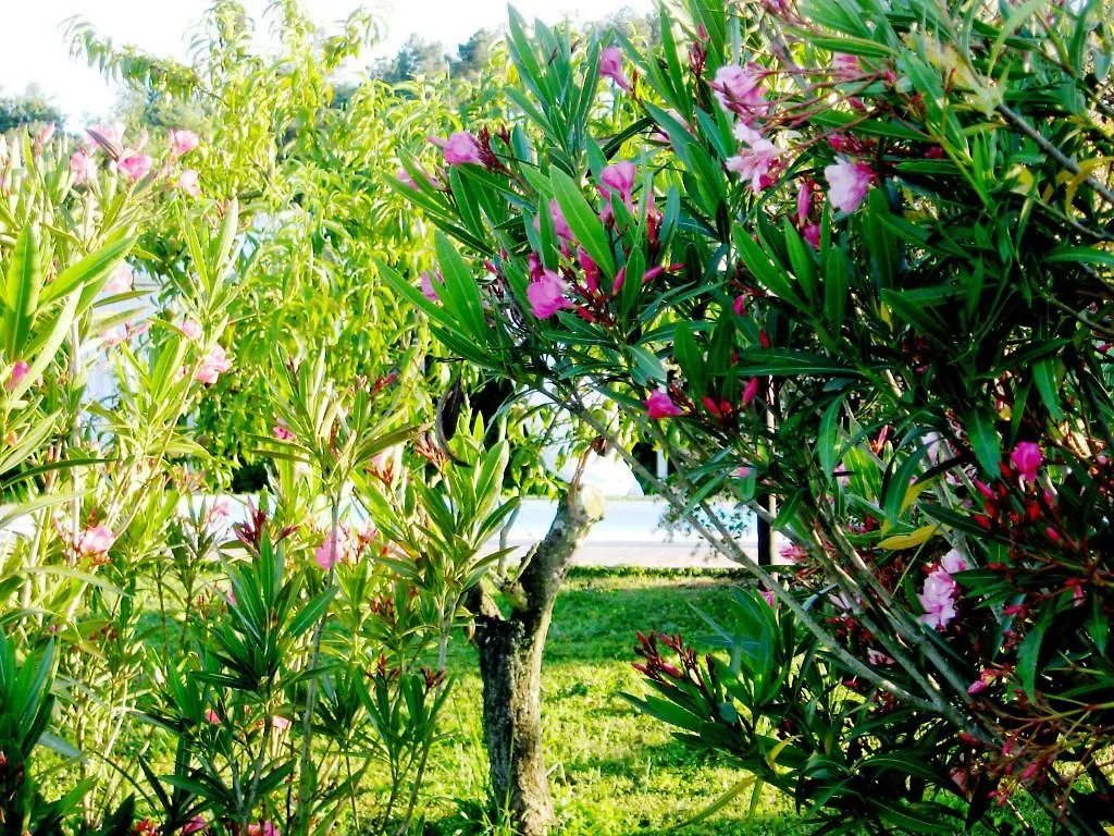 Locanda Il Fornello Altopascio 2*,