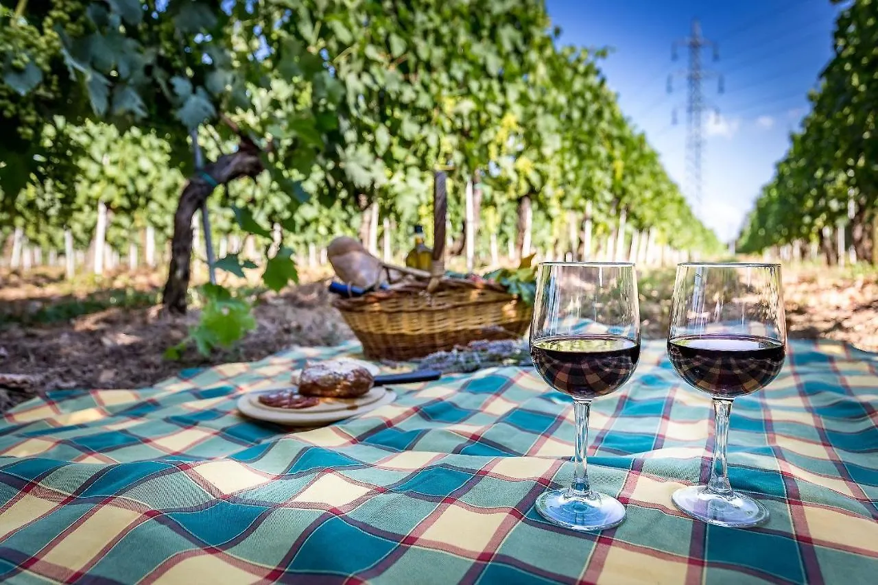Locanda Il Fornello Altopascio Frühstückspension